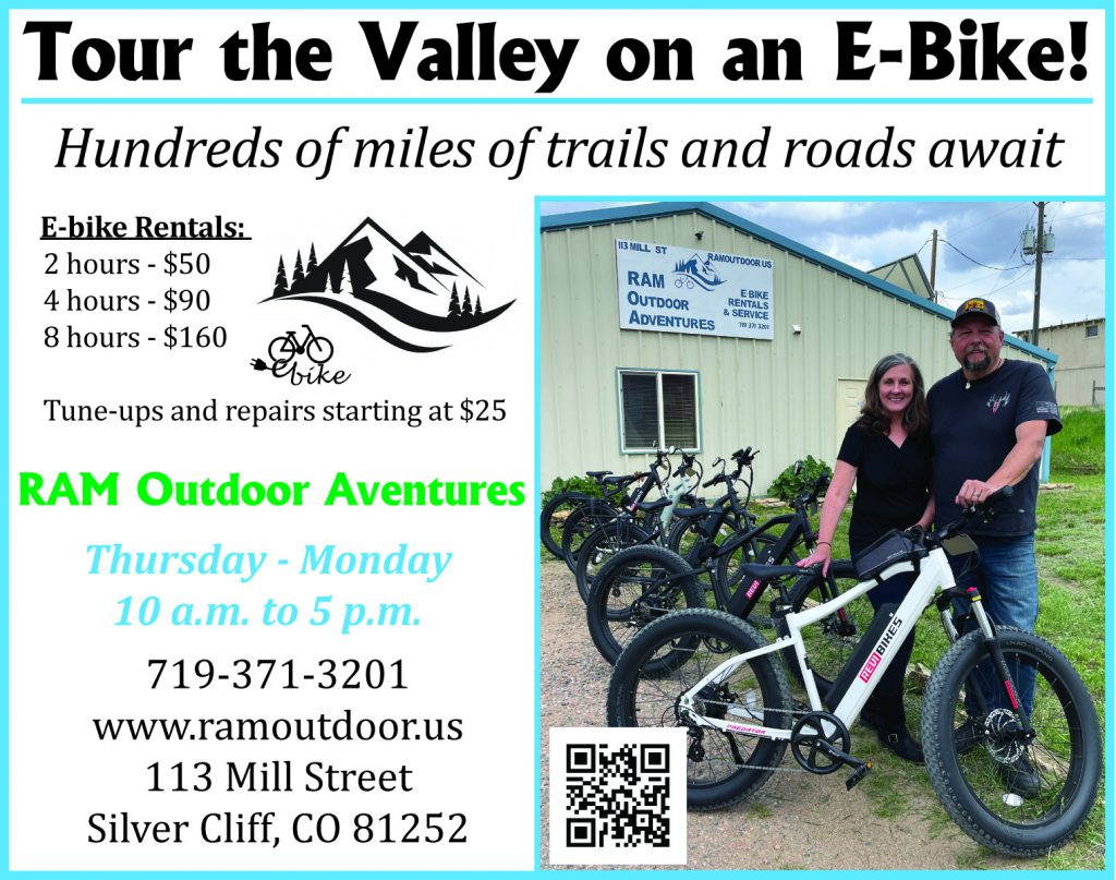 Bike Rental Company Flyer